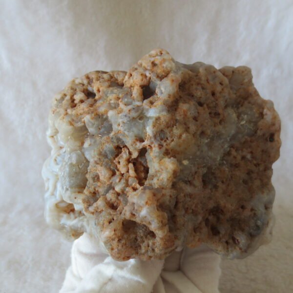 natural quartz flower gobi stone raw desert fossil home decor. (g28)