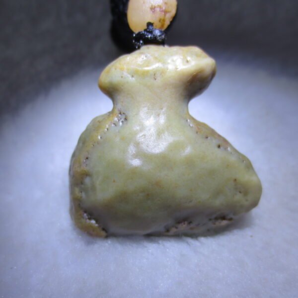 natural gobi agate pendant healing crystal jewelry (d154)