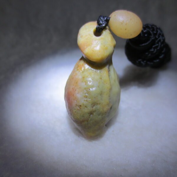 natural gobi agate pendant healing crystal jewelry (d154)