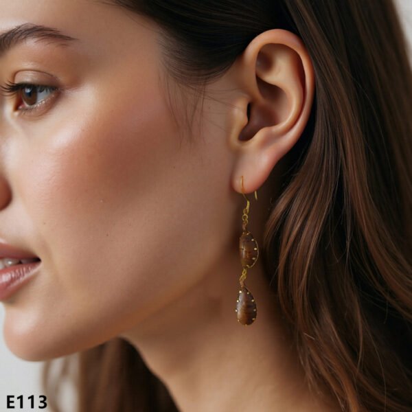 gobi agate raw stone earrings – authentic desert gem jewelry (e113)