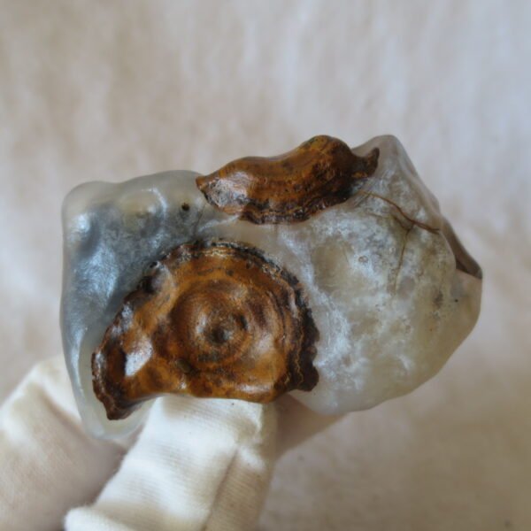 natural thumb eye gobi agate desert raw stone mineral (m121)