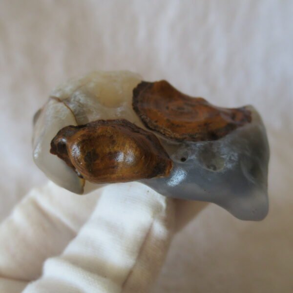 natural thumb eye gobi agate desert raw stone mineral (m121)