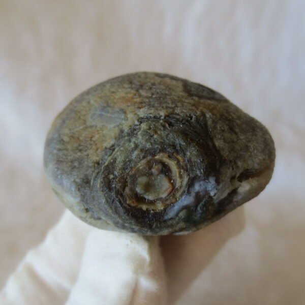 natural thumb eye gobi agate desert raw stone mineral (m121) (copy)