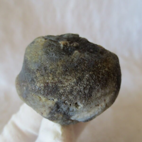 natural thumb eye gobi agate desert raw stone mineral (m121) (copy)
