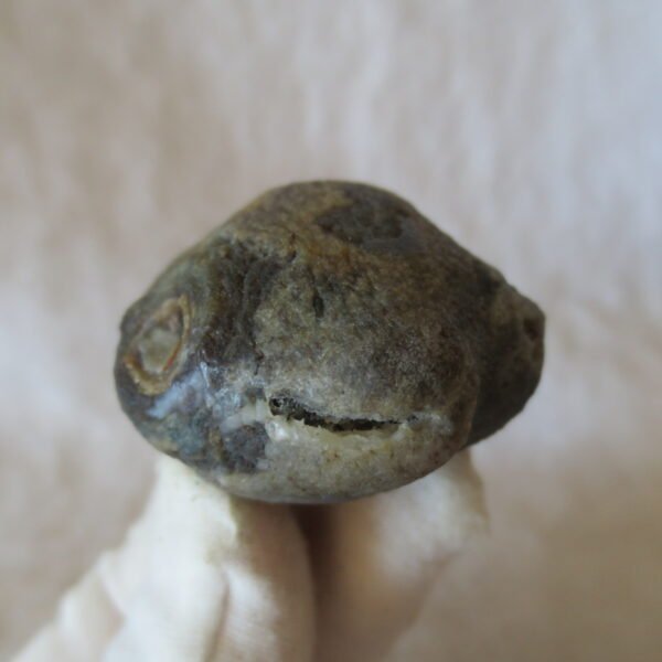 natural thumb eye gobi agate desert raw stone mineral (m121) (copy)