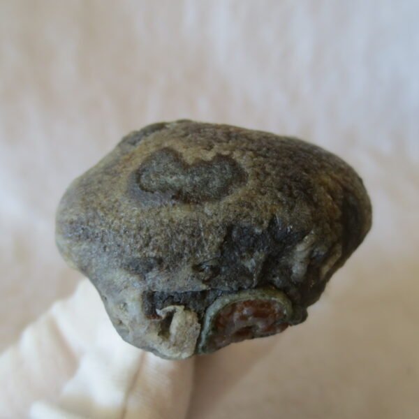 natural thumb eye gobi agate desert raw stone mineral (m121) (copy)