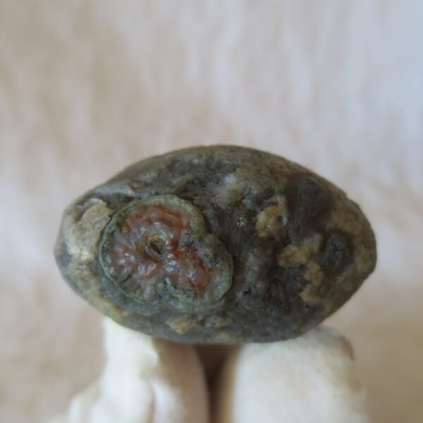 natural thumb eye gobi agate desert raw stone mineral (m121) (copy)