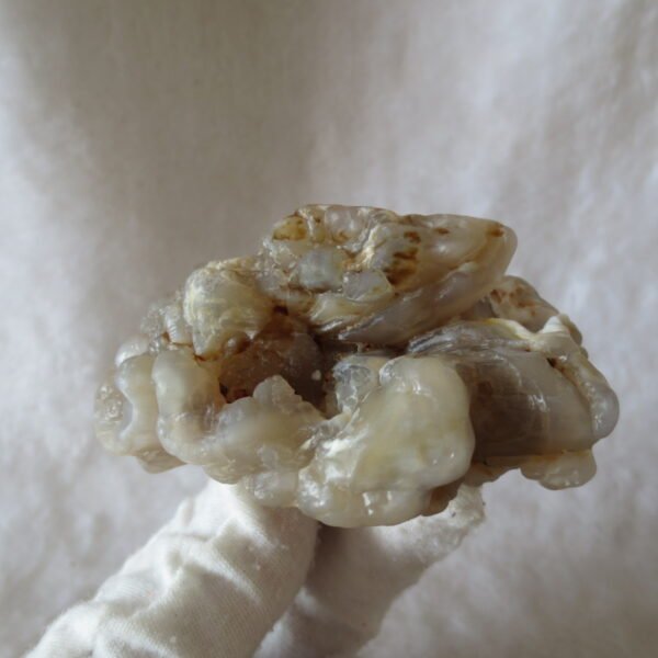 natural flower gobi agate raw desert rock mineral specimen (h12)