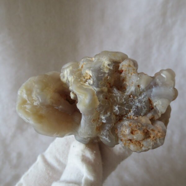 natural flower gobi agate raw desert rock mineral specimen (h12)