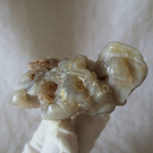 natural flower gobi agate raw desert rock mineral specimen (h12)