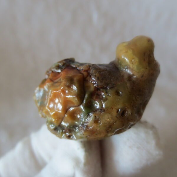 natural thumb eye gobi agate desert raw stone mineral (m155)