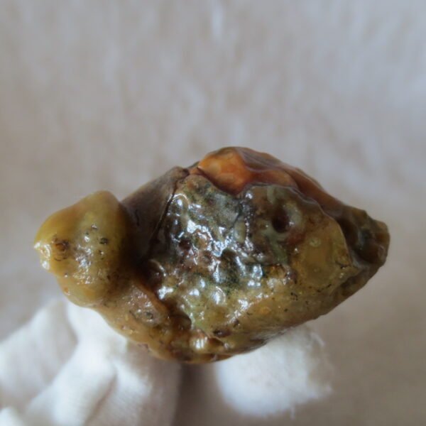 natural thumb eye gobi agate desert raw stone mineral (m155)