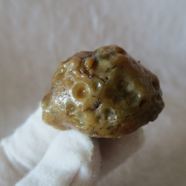 natural thumb eye gobi agate desert raw stone mineral (m155)