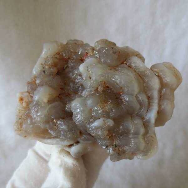 natural flower gobi agate raw desert rock mineral specimen (h16)