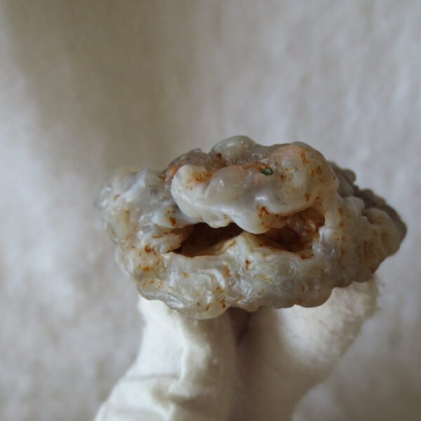 natural flower gobi agate raw desert rock mineral specimen (h16)