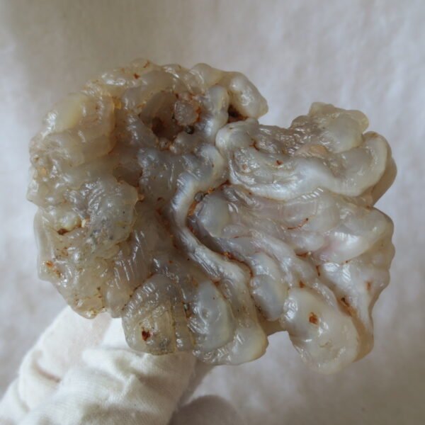 natural flower gobi agate raw desert rock mineral specimen (h16)