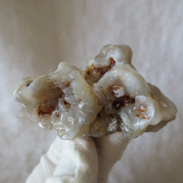 natural flower gobi agate raw desert rock mineral specimen (h17)