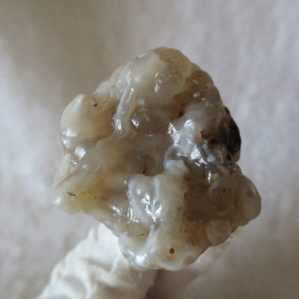 natural flower gobi agate raw desert rock mineral specimen (h17)