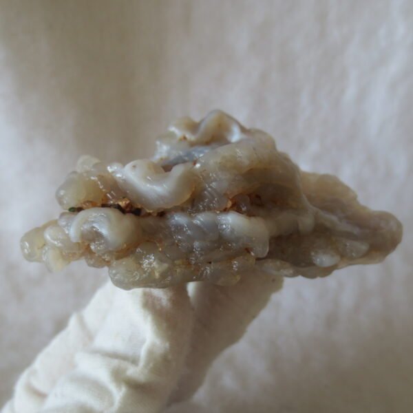 natural flower gobi agate raw desert rock mineral specimen (h18)