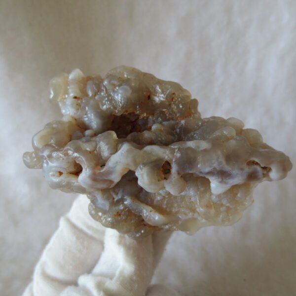 natural flower gobi agate raw desert rock mineral specimen (h18)