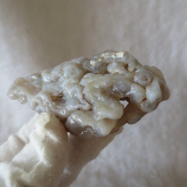 natural flower gobi agate raw desert rock mineral specimen (h21)
