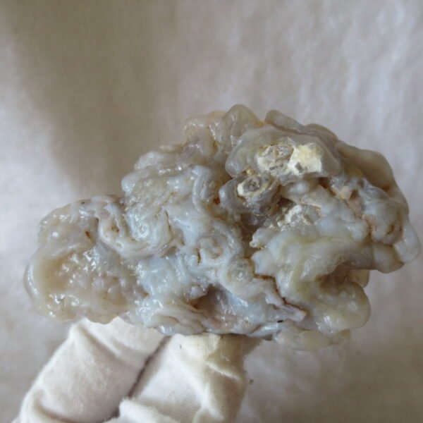 natural flower gobi agate raw desert rock mineral specimen (h21)