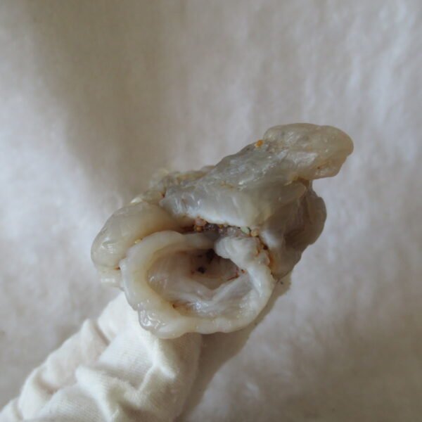natural flower gobi agate raw desert rock mineral specimen (h21) (copy)