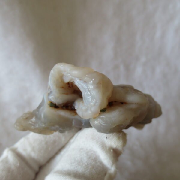 natural flower gobi agate raw desert rock mineral specimen (h21) (copy)
