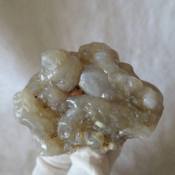 natural flower gobi agate raw desert rock mineral specimen (h24)