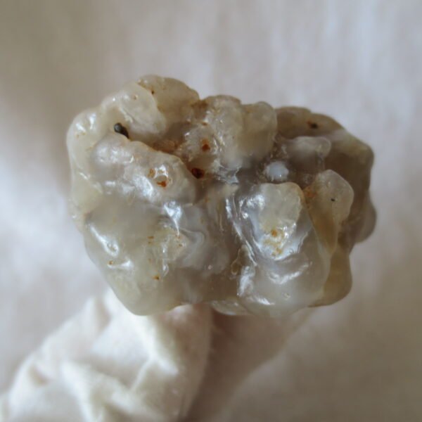 natural flower gobi agate raw desert rock mineral specimen (h24)