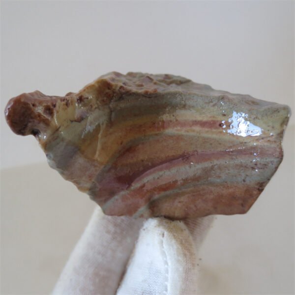 multi color gobi flower agate raw stone natural botryoidal desert agate specimen (j39)