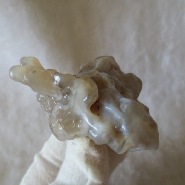 natural flower gobi agate raw desert rock mineral specimen (h25)