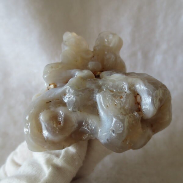 natural flower gobi agate raw desert rock mineral specimen (h25)