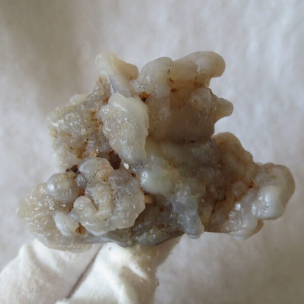 natural flower gobi agate raw desert rock mineral specimen (h26)