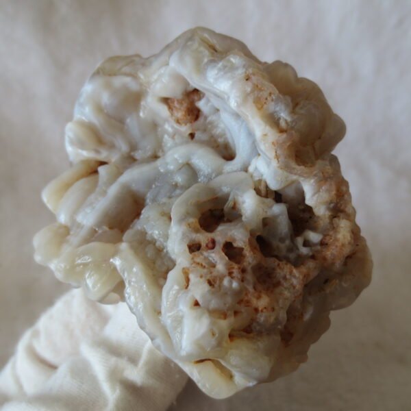 natural flower gobi agate raw desert rock mineral specimen (h26) (copy)