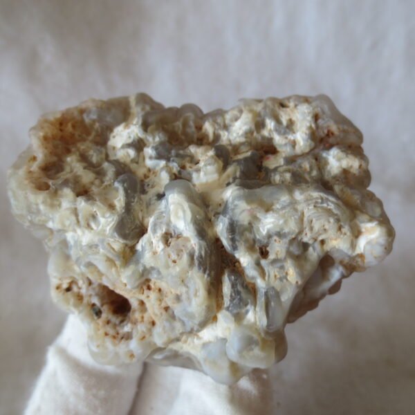 natural flower gobi agate raw desert rock mineral specimen (h26) (copy)
