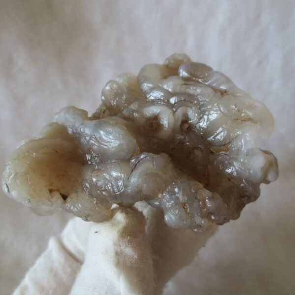 natural flower gobi agate raw desert rock mineral specimen (h28)