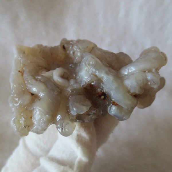 natural flower gobi agate raw desert rock mineral specimen (h28)