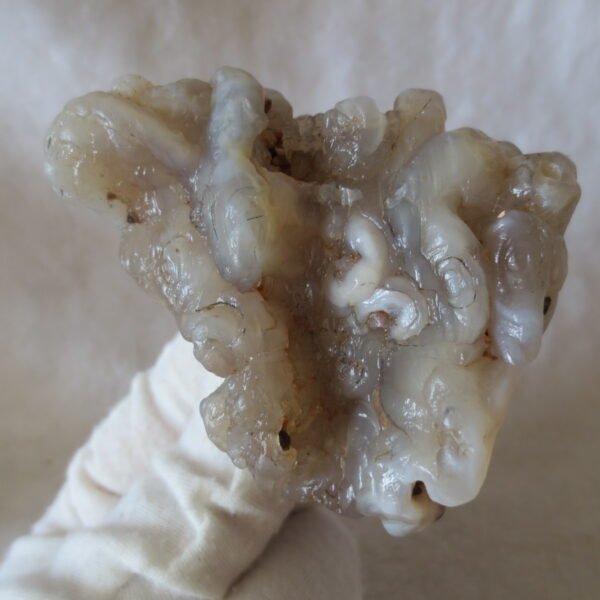 natural flower gobi agate raw desert rock mineral specimen (h28)