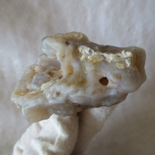 natural flower gobi agate raw desert rock mineral specimen (h28) (copy)