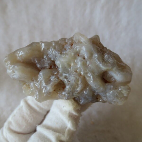 natural flower gobi agate raw desert rock mineral specimen (h30)