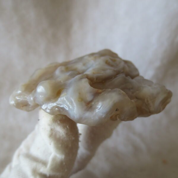 natural flower gobi agate raw desert rock mineral specimen (h30) (copy)