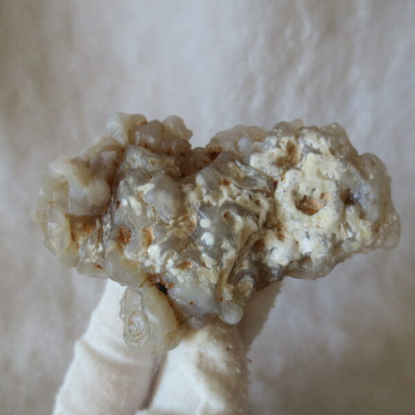 natural flower gobi agate raw desert rock mineral specimen (h32)