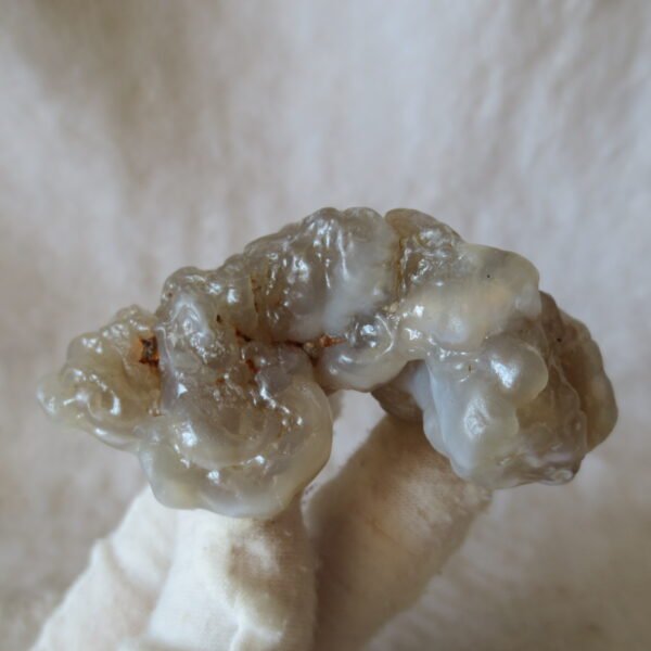 natural flower gobi agate raw desert rock mineral specimen (h34)
