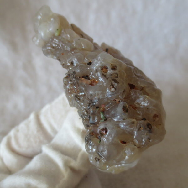 natural flower gobi agate raw desert rock mineral specimen (h37)