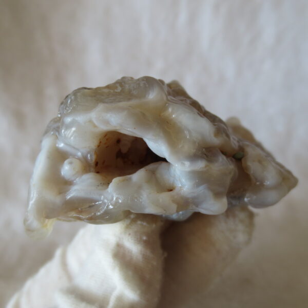 natural flower gobi agate raw desert rock mineral specimen (h37)