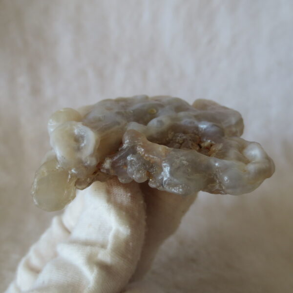 natural flower gobi agate raw desert rock mineral specimen (h39) (copy)