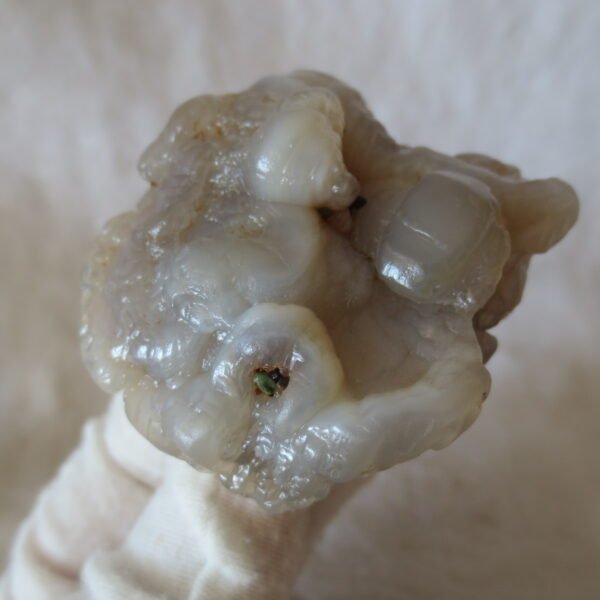 natural flower gobi agate raw desert rock mineral specimen (h42)