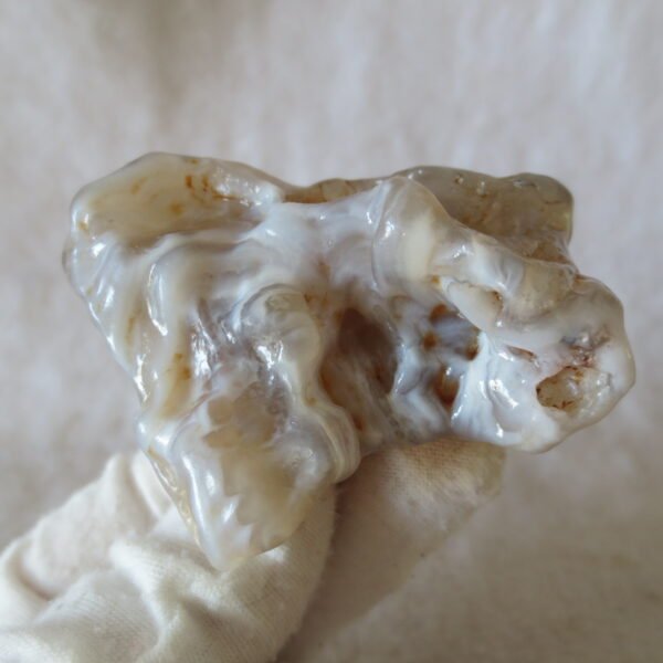 natural flower gobi agate raw desert rock mineral specimen (h48) (copy)