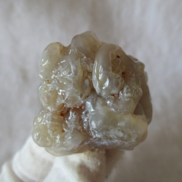 natural flower gobi agate raw desert rock mineral specimen (h58) (copy)
